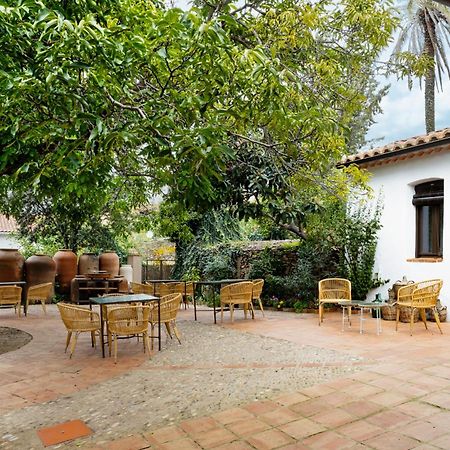 Apartamentos Turisticos El Patio Del Nogal Guadalupe  Extérieur photo