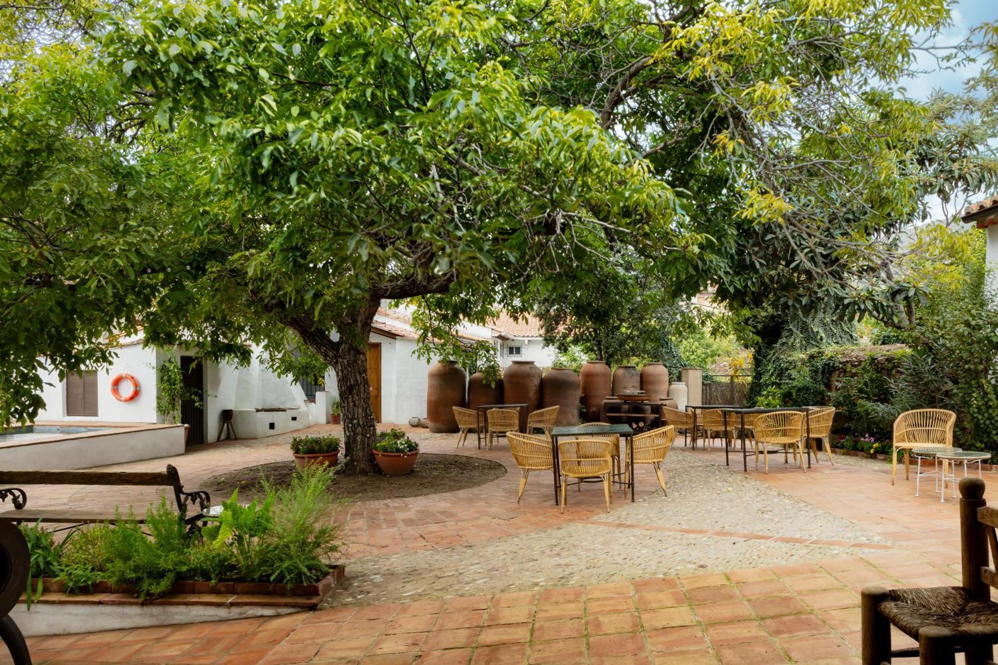 Apartamentos Turisticos El Patio Del Nogal Guadalupe  Extérieur photo