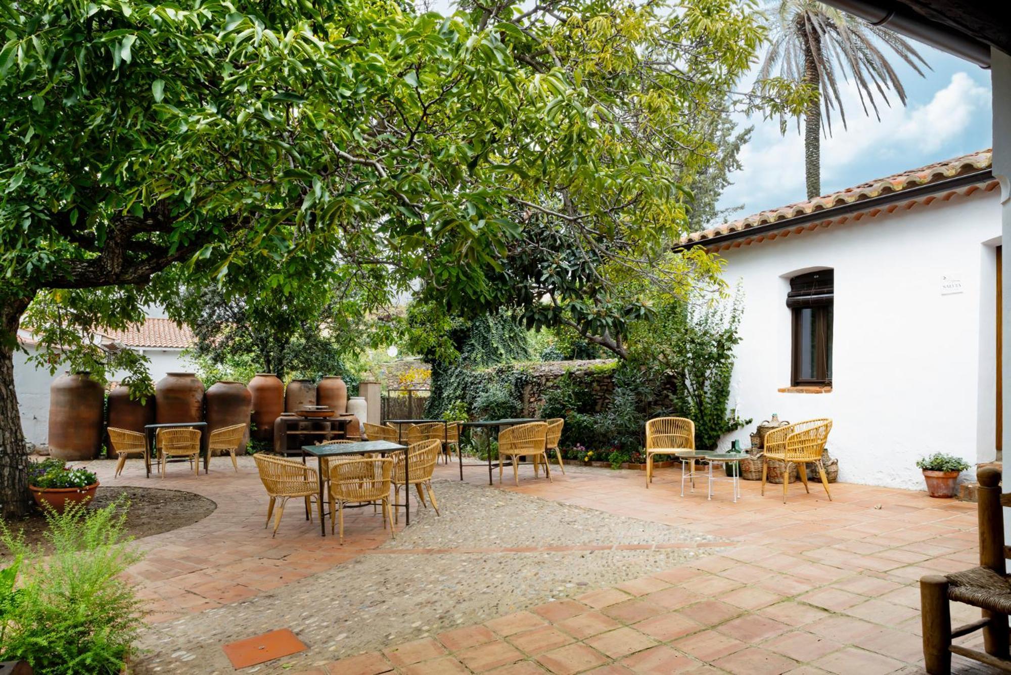 Apartamentos Turisticos El Patio Del Nogal Guadalupe  Extérieur photo