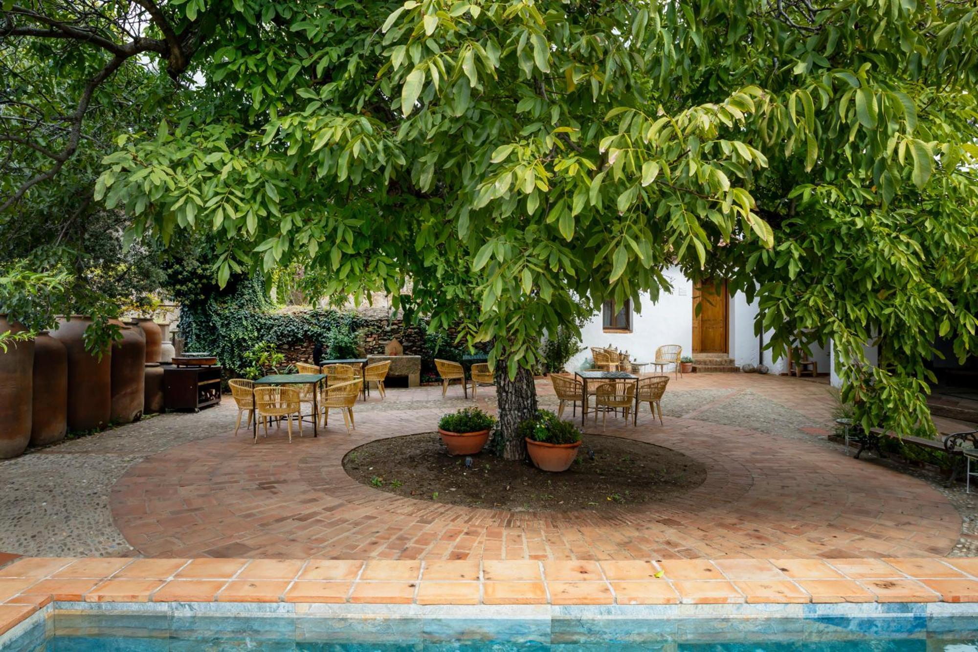 Apartamentos Turisticos El Patio Del Nogal Guadalupe  Extérieur photo
